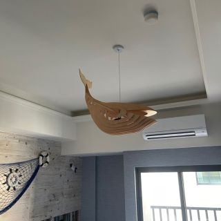 海度木紋